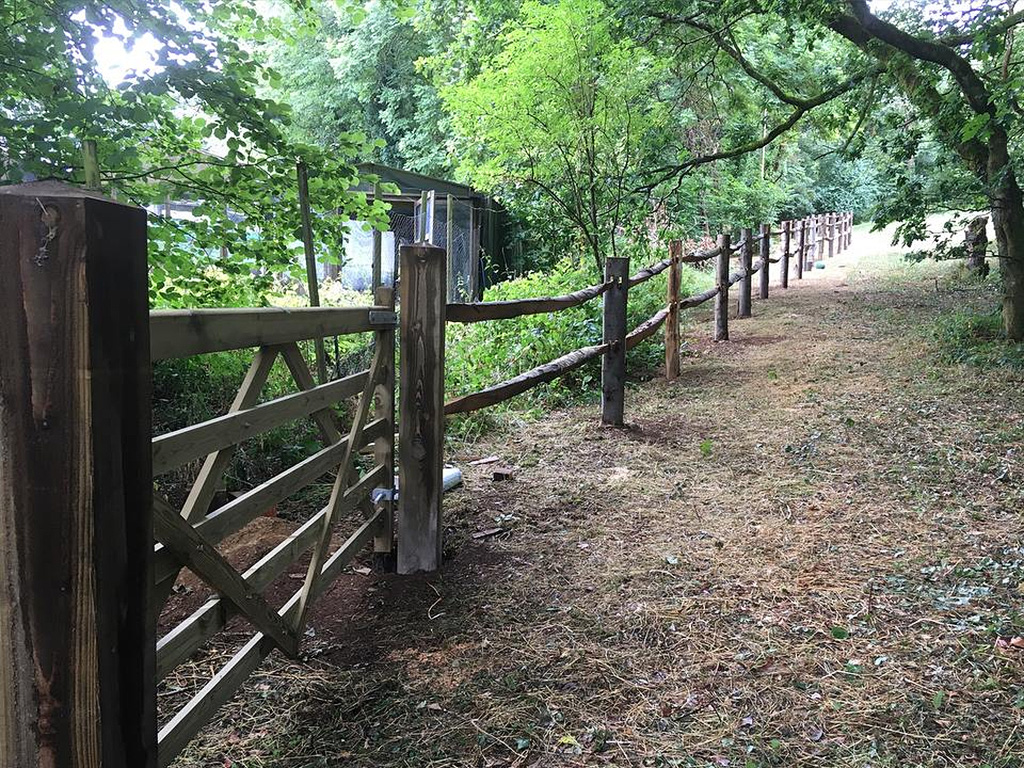 Traditional split rail fence looking splendid.