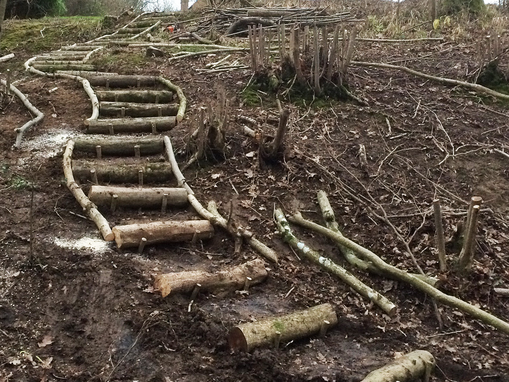 Using coppiced wood to create a run of steps.