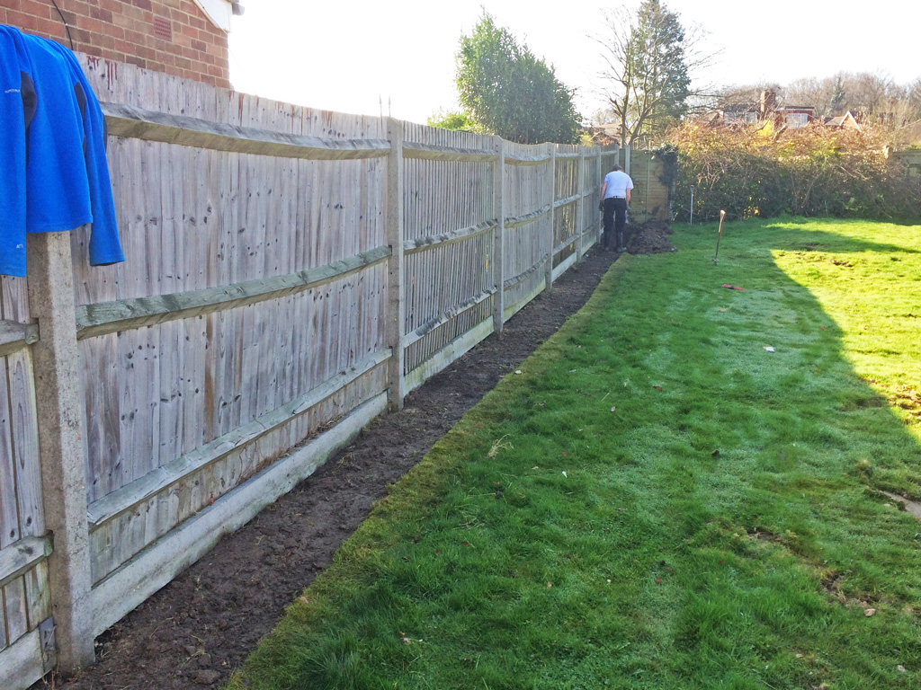 Hedge planting - digging the trench.