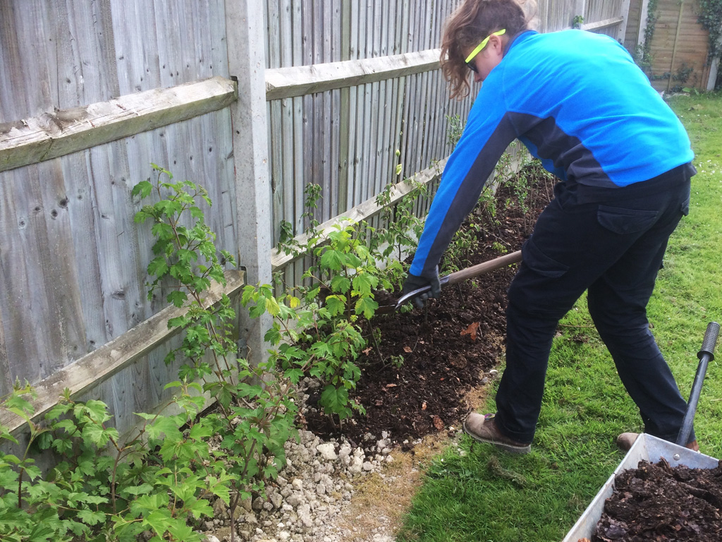 Hedge planting - mulching to provide nutrients.